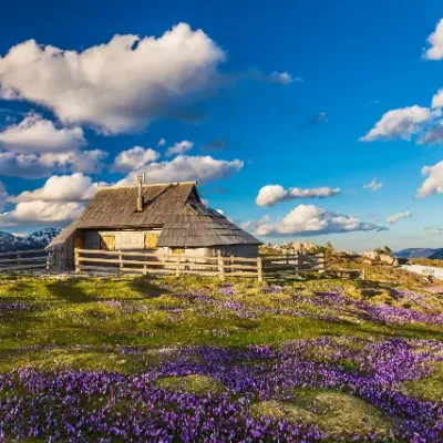 VELIKA PLANINA I KAMNIŠKE ALPE