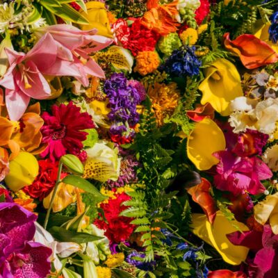 CVJETNA BAJKA - NAJVEĆA EUROPSKA IZLOŽBA CVIJEĆA U TULLNU