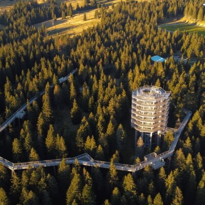 ŠETNJA MEĐU KROŠNJAMA - POHORJE I MARIBOR