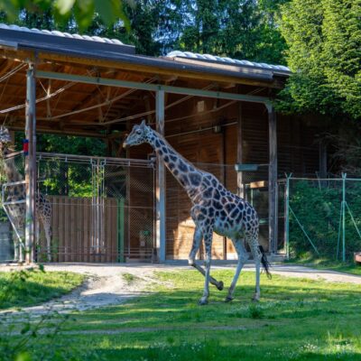 LJUBLJANA I ZOO